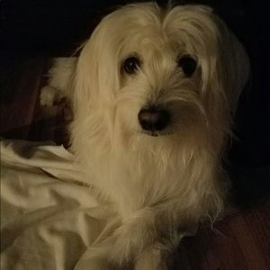 Meet your Posher, Irene